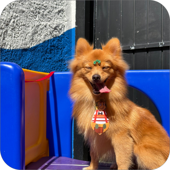  slider 02